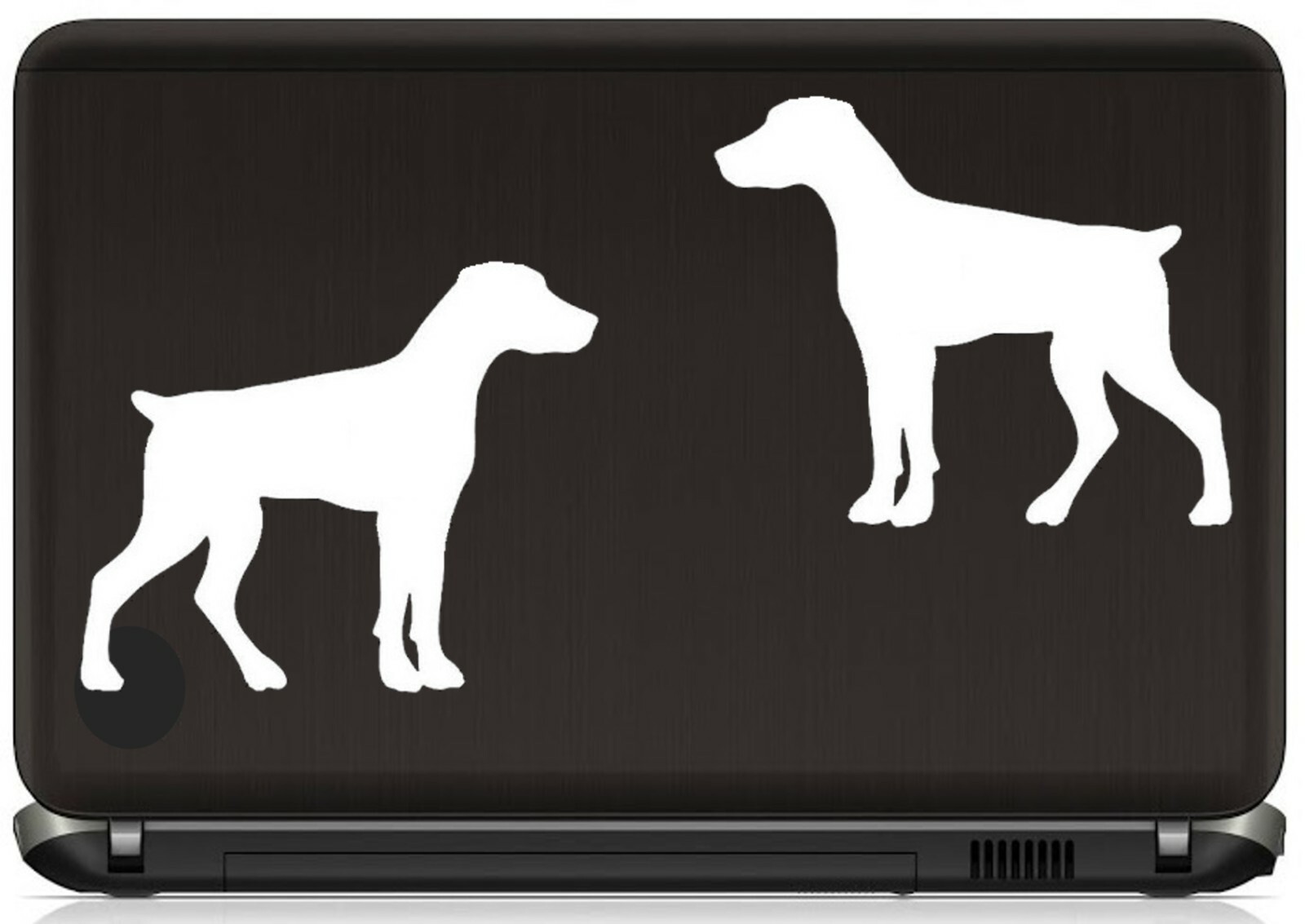 Doberman Pinscher Natural Ears Min Pin Decal Sticker for Car Window BG 780