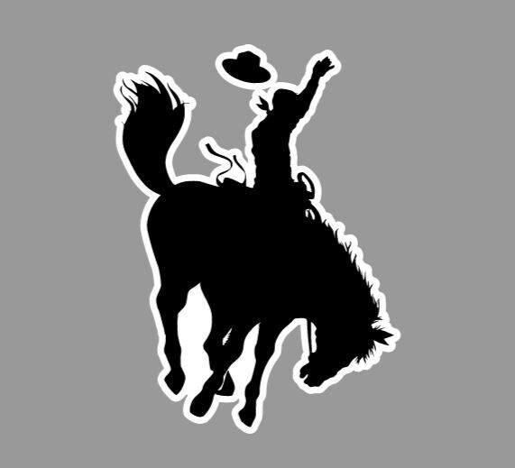 Cowboy on Bucking Bronco Die Cut Glossy Fridge Magnet
