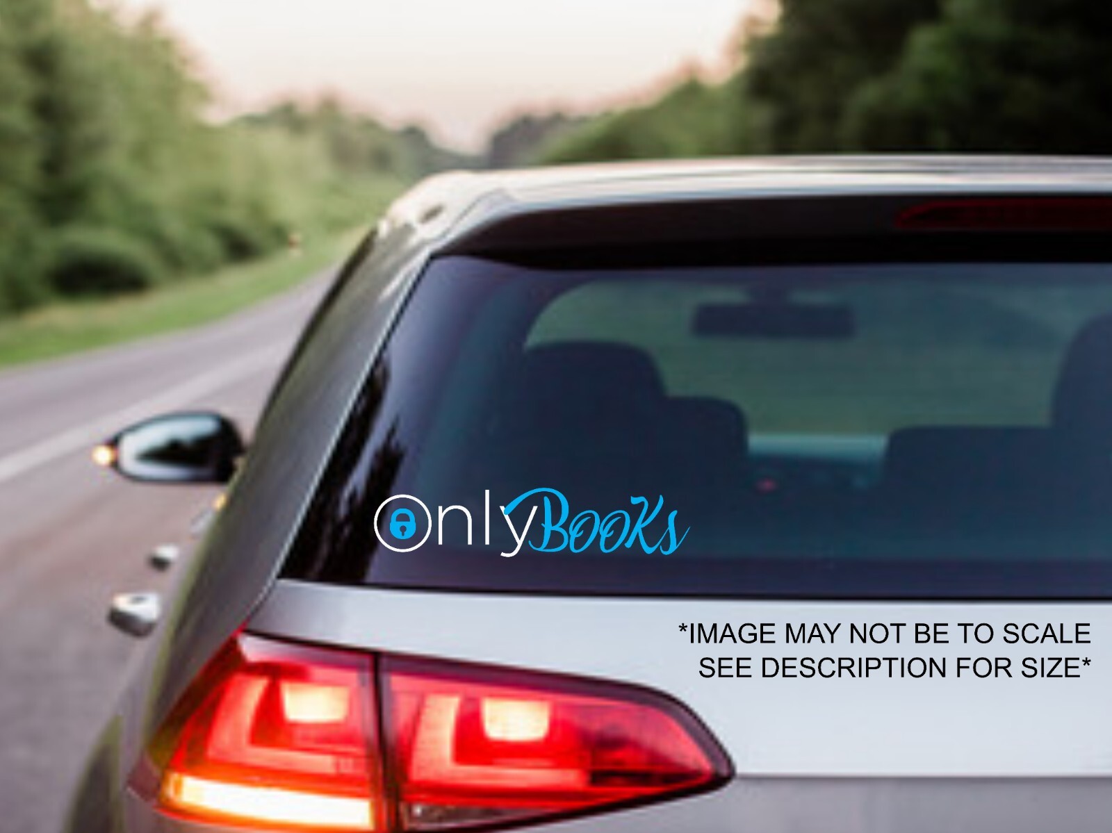 Only Books Decal, Funny Bumper Sticker, 2 color, Onlyfans inspired logo