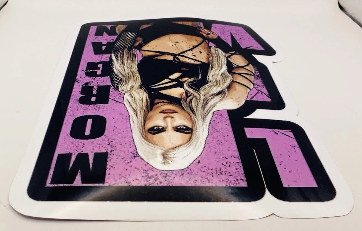 Female Wrestler Waterproof Car Decal Laptop Vinyl Sticker Large