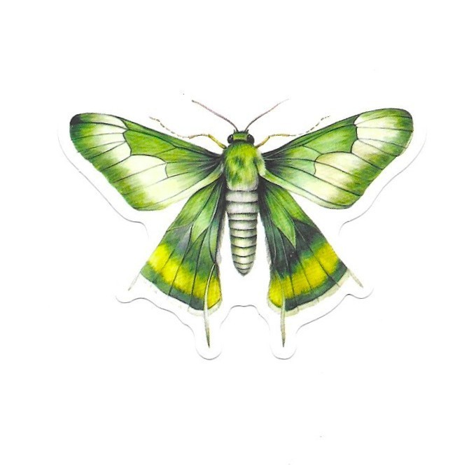 Emerald Green Moth Vinyl Sticker Vintage Butterfly Insect Journal Laptop Craft