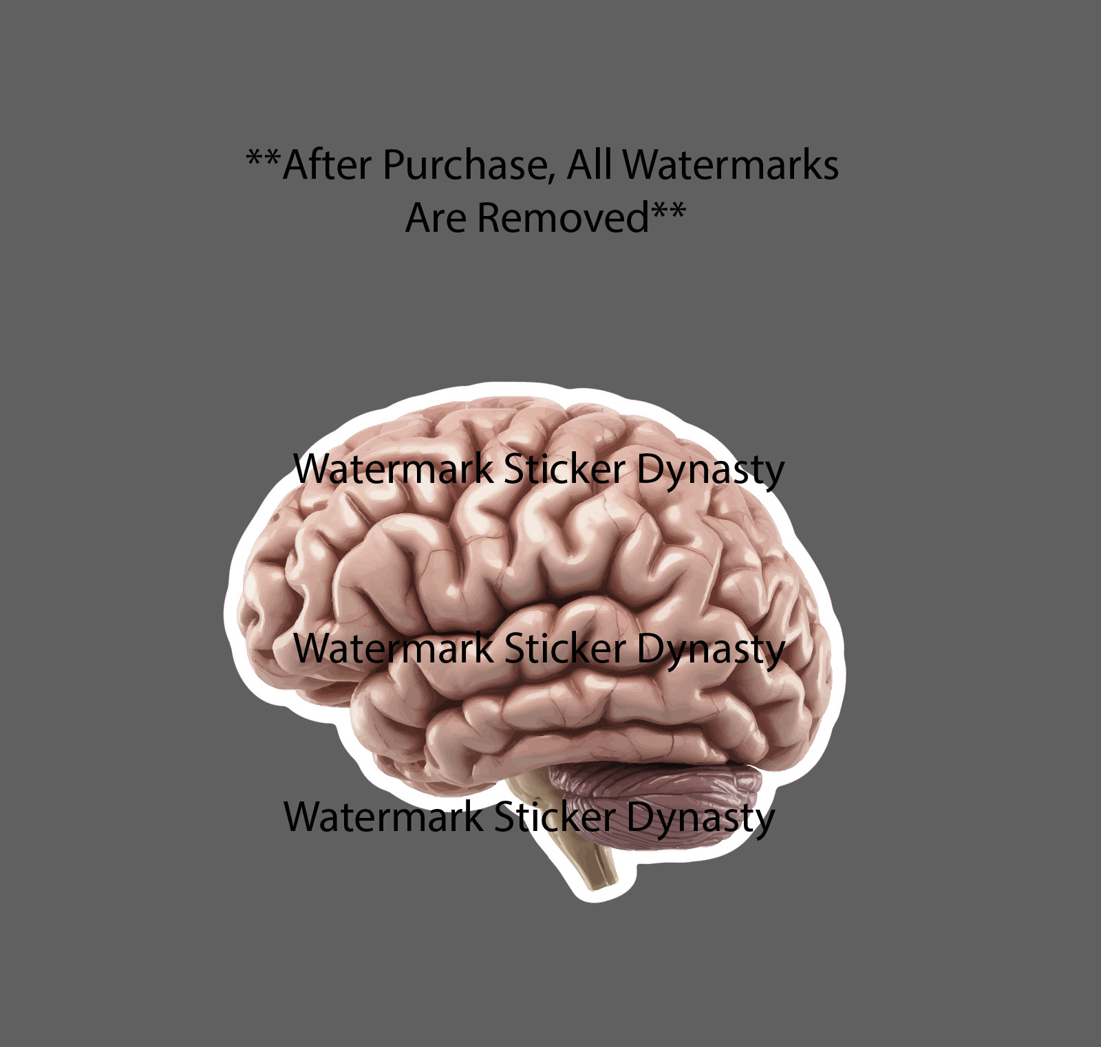 Realistic Brain Sticker Waterproof Decal Anatomy Horror Smart Gift NEW