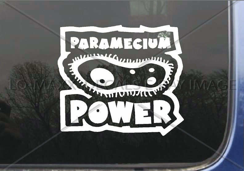 Paramecium Power One Celled Organism Art One Of A Kind Die-Cut Vinyl Decal