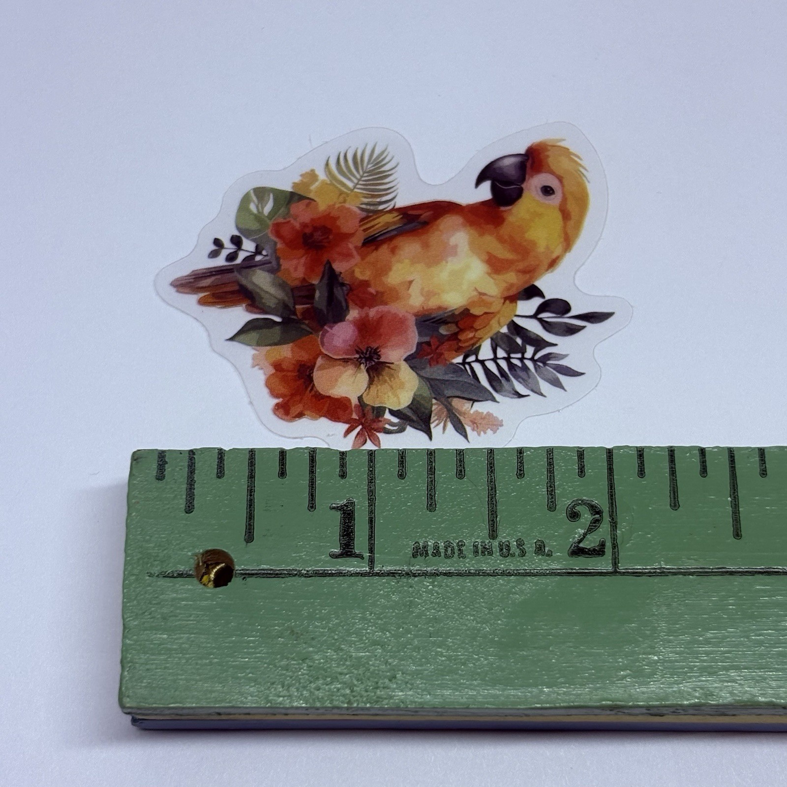 Sun Conure Parrot Sticker Animal Art Transparent Journal Decal Vinyl Tc6