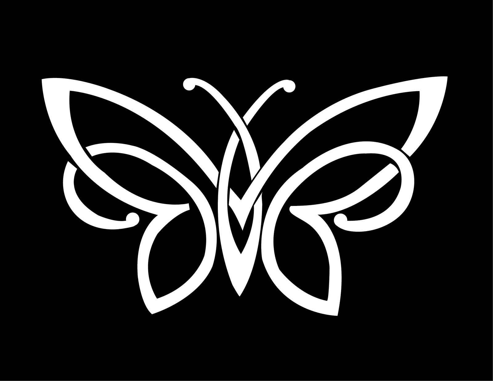 NI143 Celtic knot butterfly vinyl decal bumper sticker | 6" X 3.5" | Premium