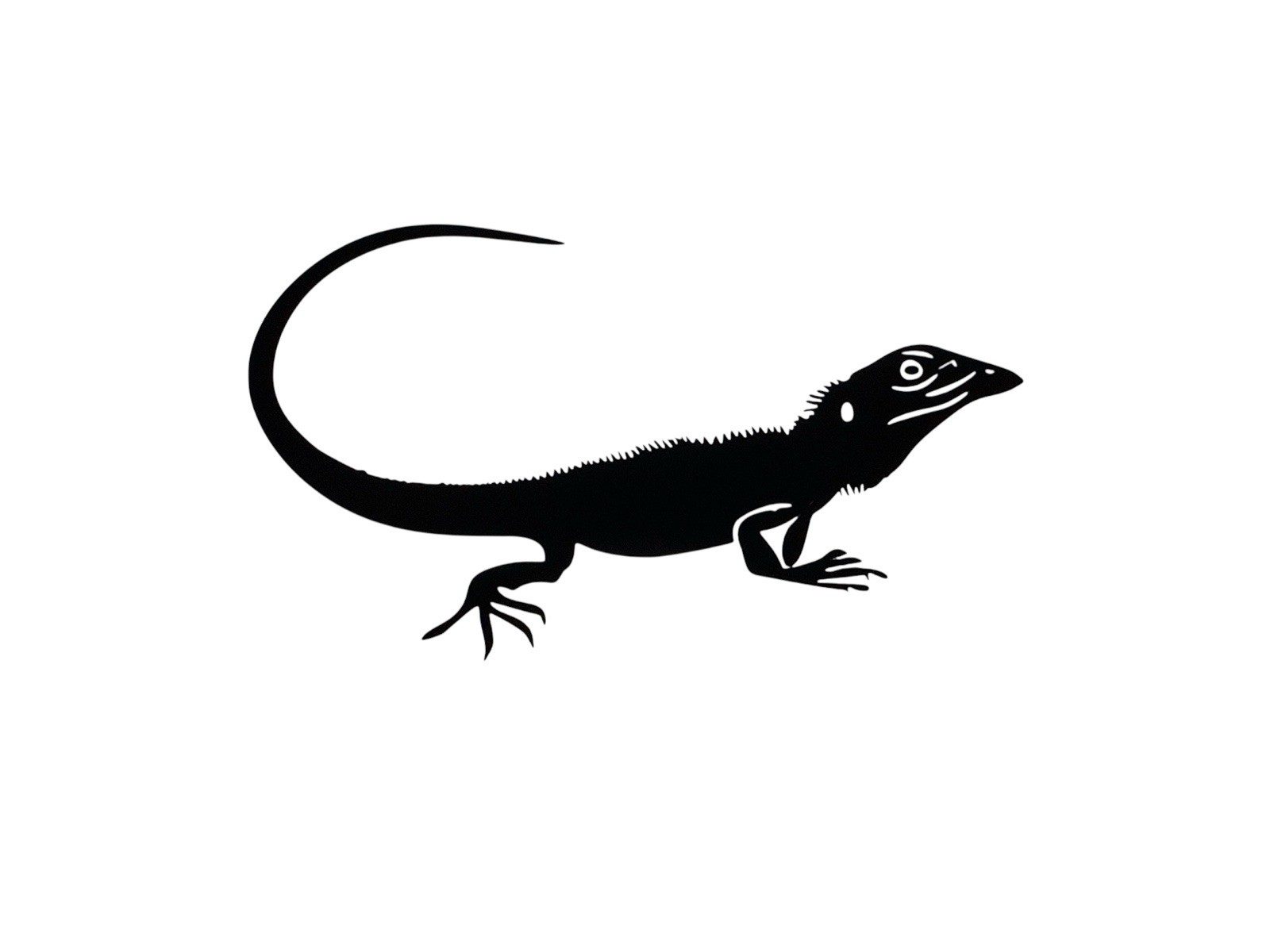 Lizard design#4 Decal for car Windows Laptops most Smooth Surfaces