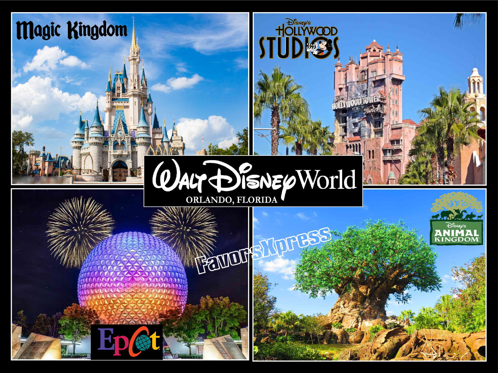 DISNEYWORLD PARKS PHOTO MAGNET large 5.25 X 4 INCHES