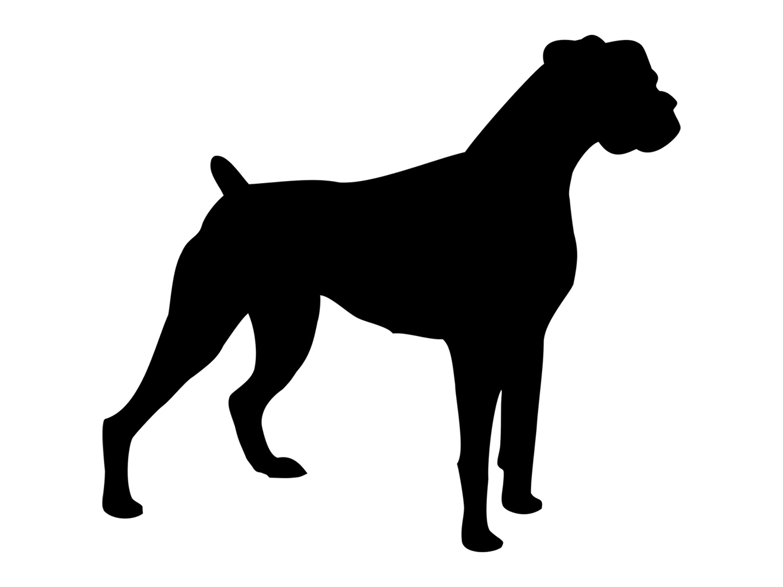 EMPIRE DESIGN Boxer – 6.5" x 5.8" – Vinyl Car Sticker