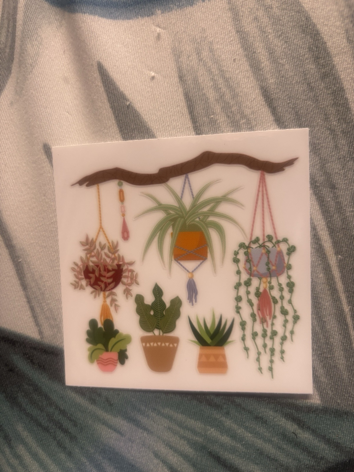 Plant Decal 3.5inch . Durable In Any Weather
