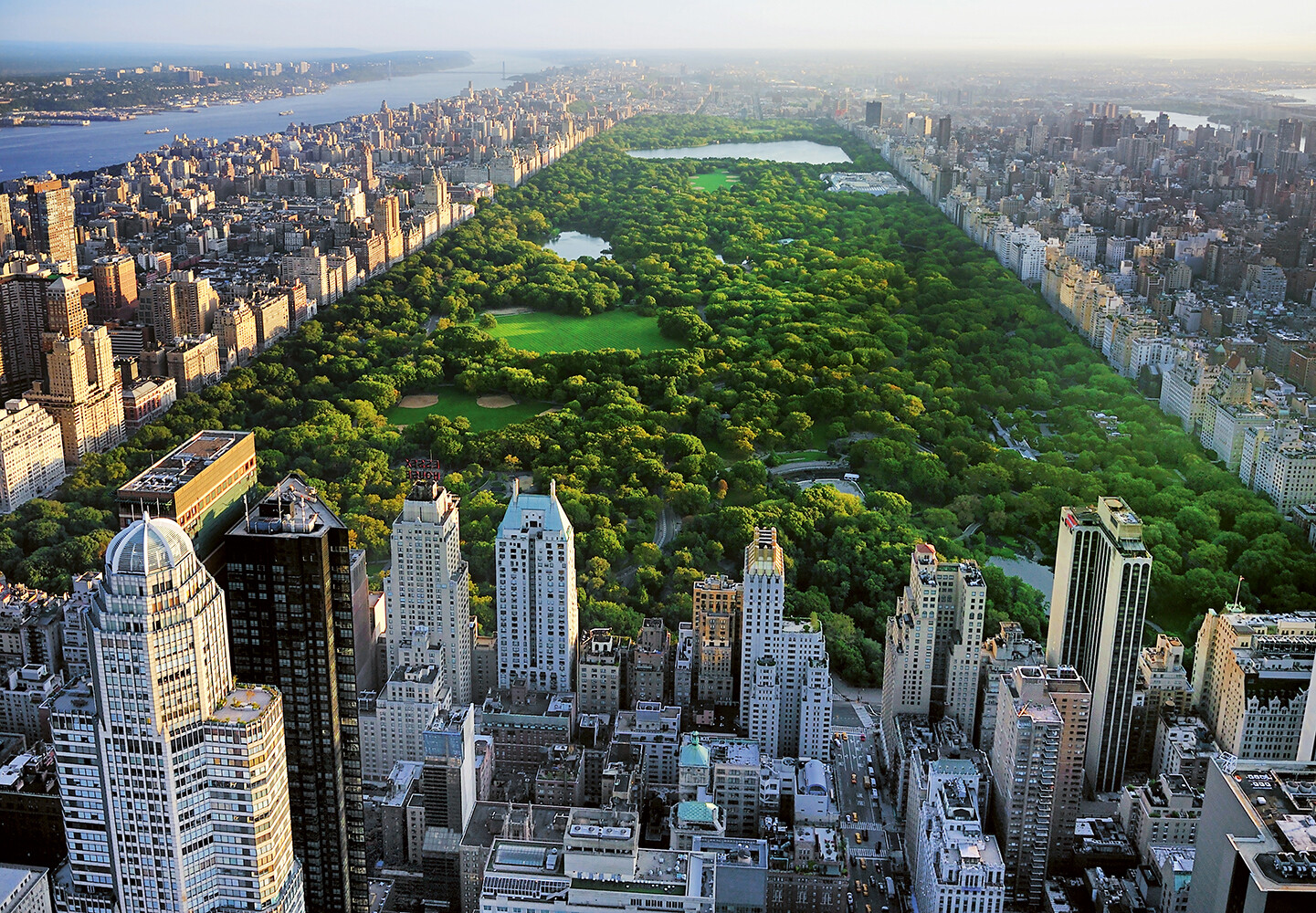 CENTRAL PARK Mural 144×100" Removable Wallpaper NEW YORK Manhattan City View DIY