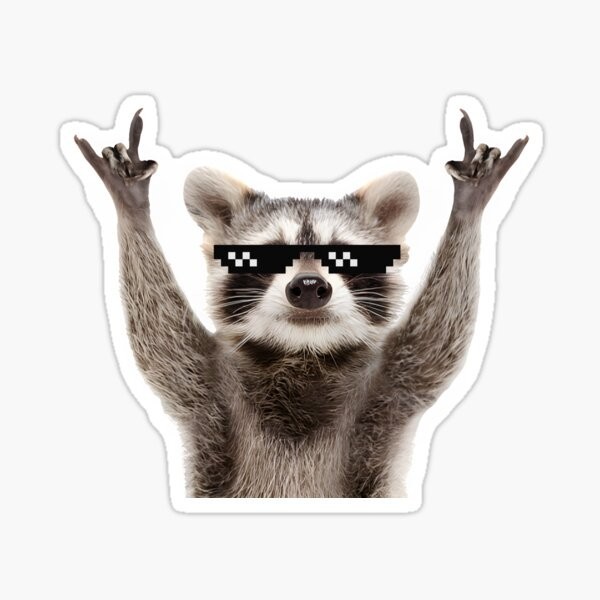 Raccoon with Glasses Funny Vinyl Die Cut Sticker