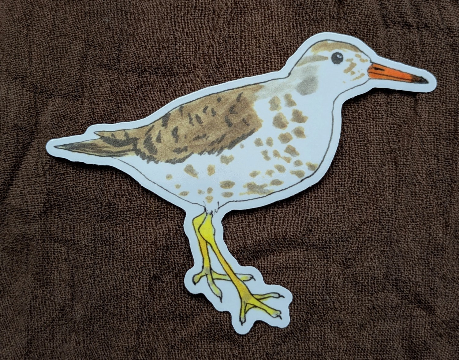 Spotted Sandpiper 4" Indoor/Outdoor Vinyl Sticker Nature Wildlife Art Bird