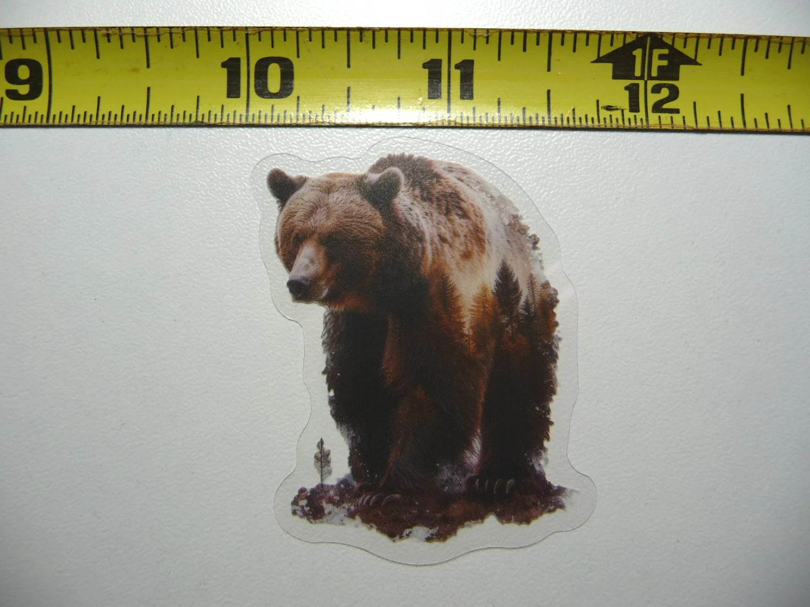 BROWN BEAR SMALL STICKER DECAL WILDLIFE COLORFUL ZOO FUNNY