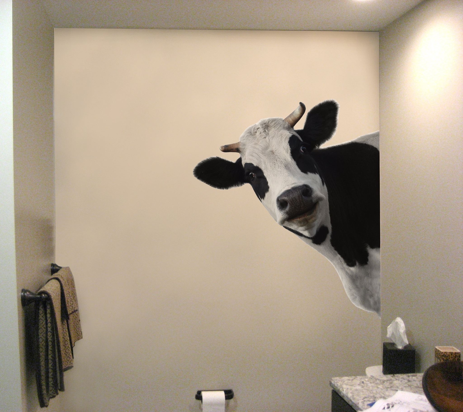 Peeking Cow Wall Decal Color Graphics. #6266