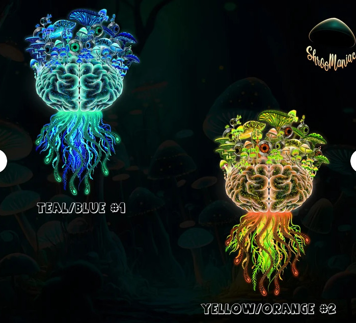 Trippy Mushroom Brain Sticker – Shroomaniac Brand – multiple sizes, High Qualtiy