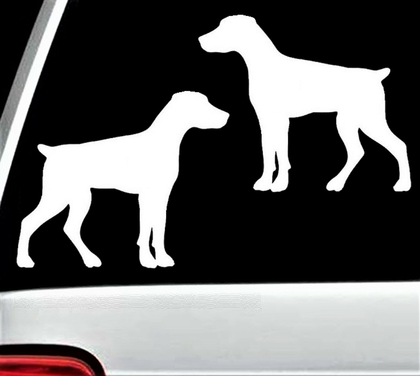Doberman Pinscher Natural Ears Min Pin Decal Sticker for Car Window BG 780