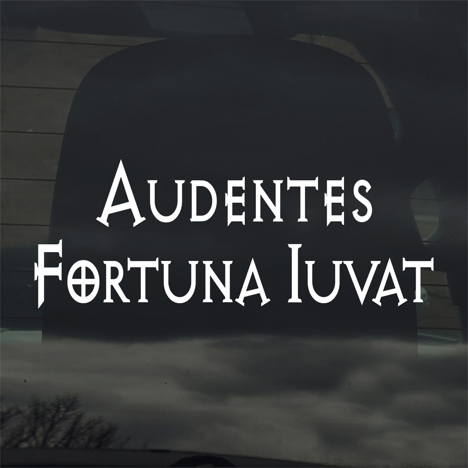Audentes Fortuna Iuvat Vinyl Sticker/Decal Latin Saying Fortune Favors The Bold