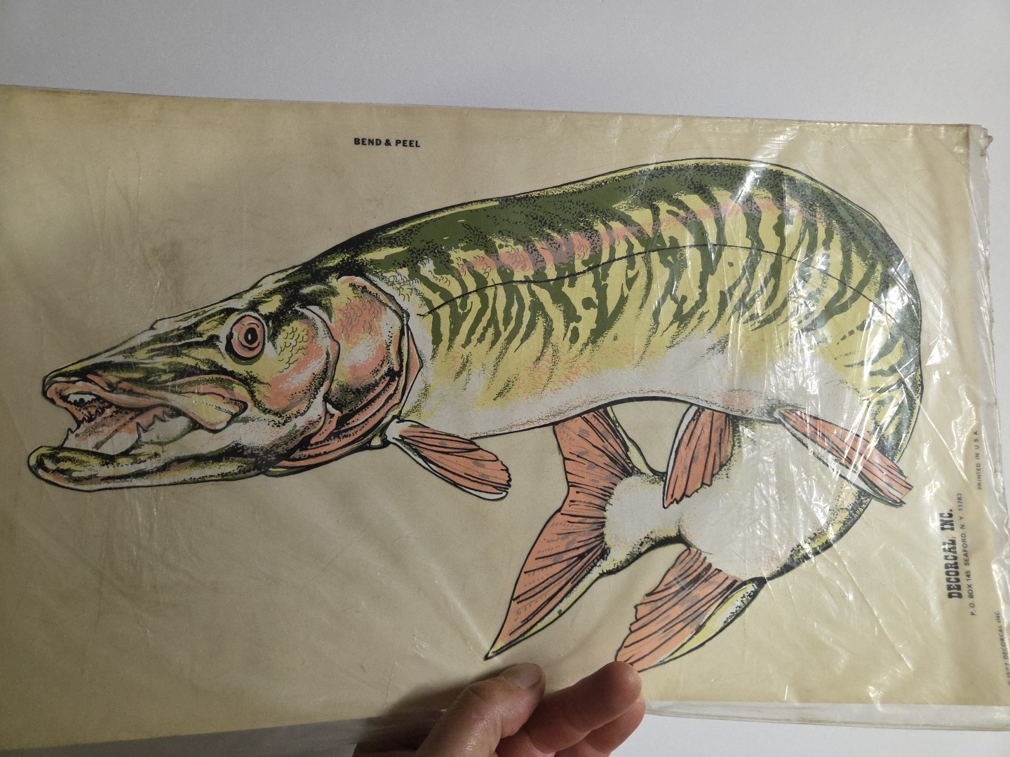 Vintage 1970's NOS Hand Painted Sports And Wildlife Decals W-5 MUSKIE 10×17