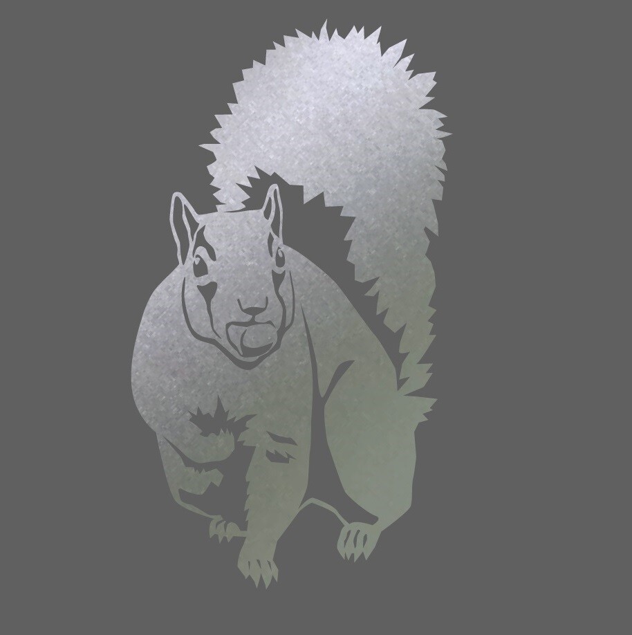 Animals – Wild Life – Tree Squirrel 1 Laptop, Car, Bumper, Door Decal Sticker