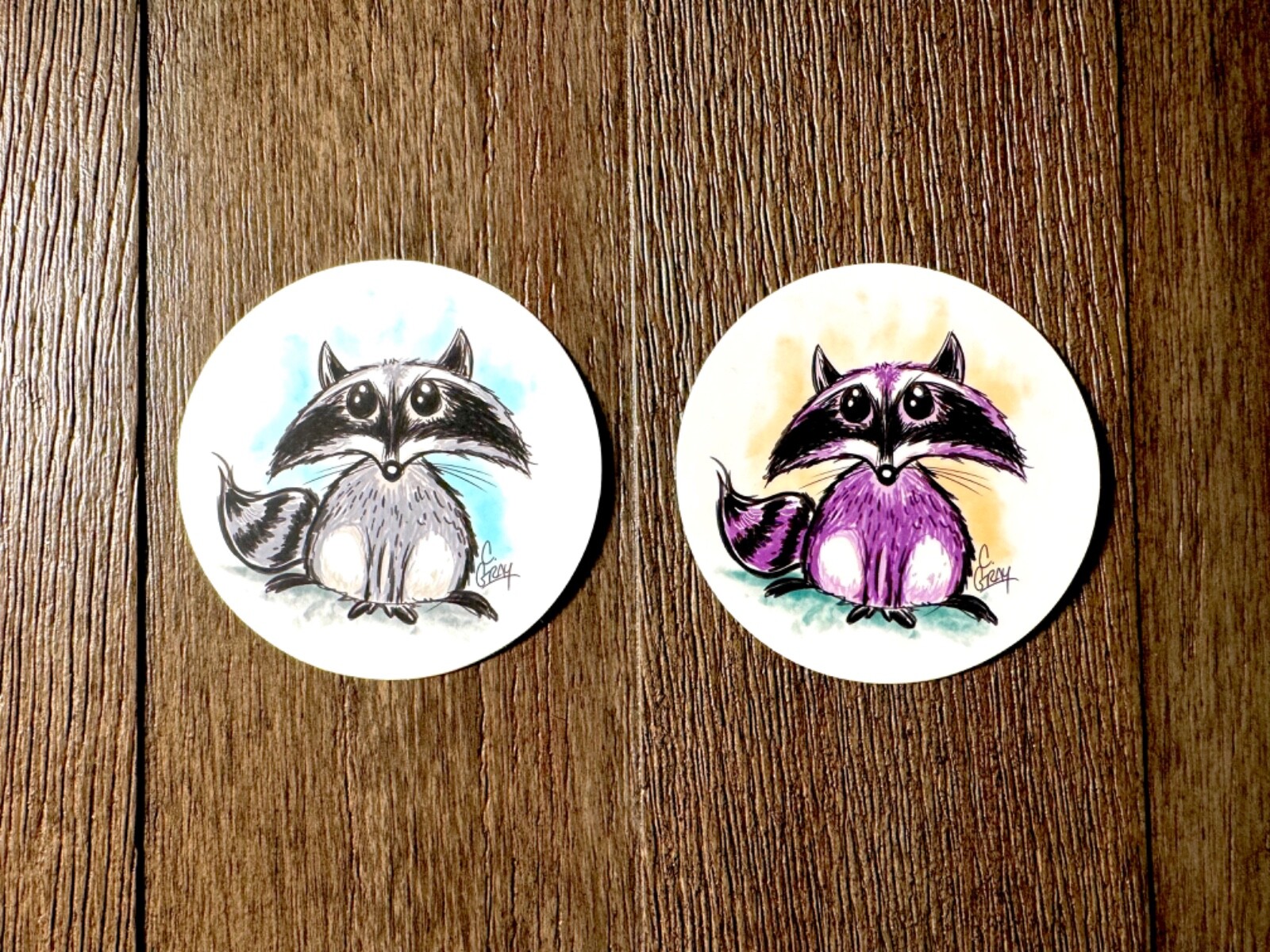 3" Raccoon Trash Panda Decal Vinyl Sticker Wildlife Coon Cute Garbage Animal Can