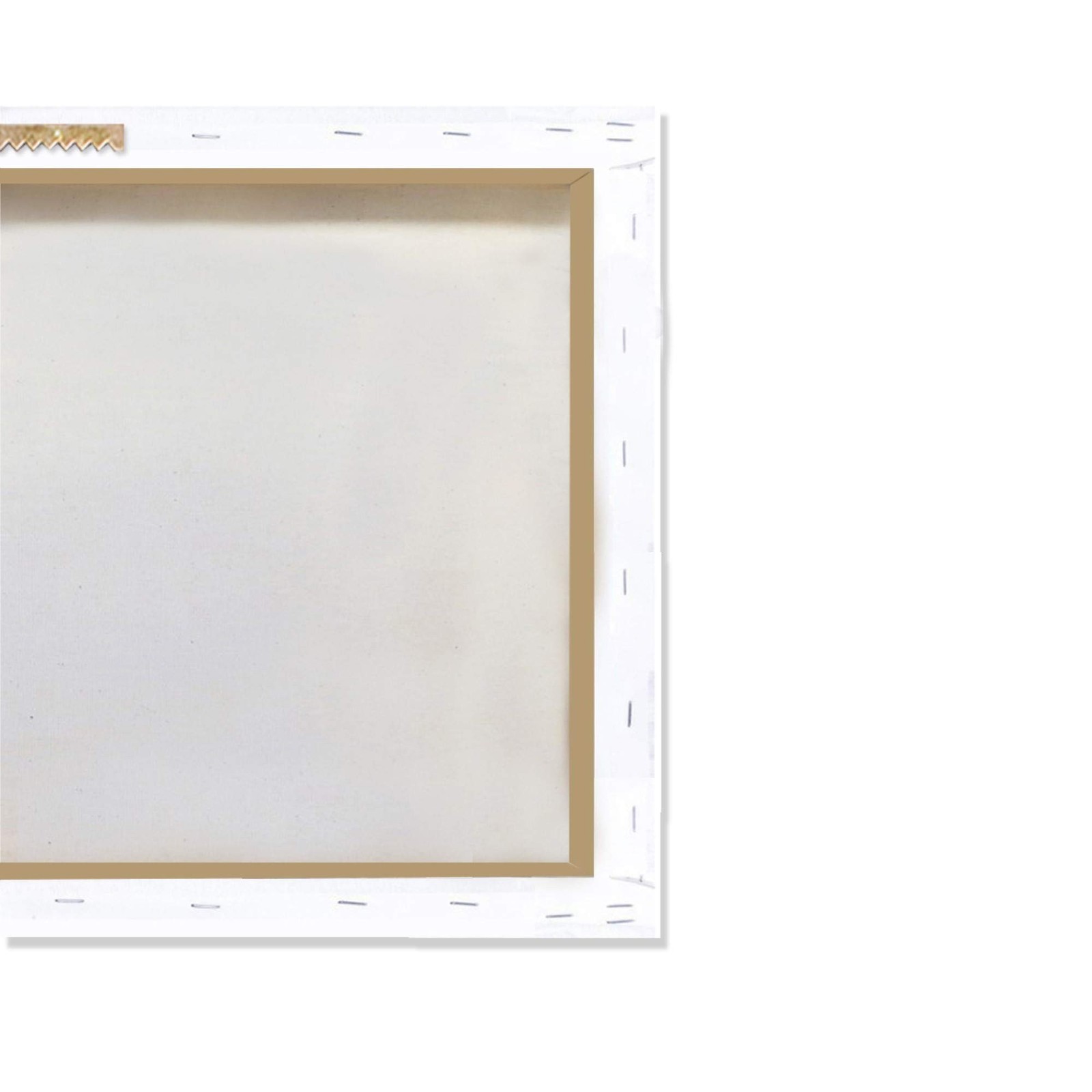 Wynwood Studio Drinks and Spirits Wall Art Framed Prints 'Shiny Champagne Hom…