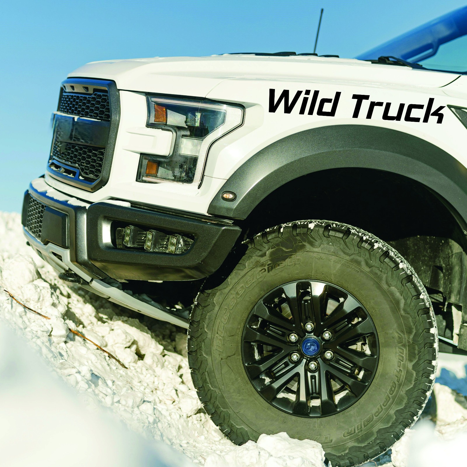 Car & Truck Decals Custom Windshield & Back Window Vinyl Lettering Text Sticker