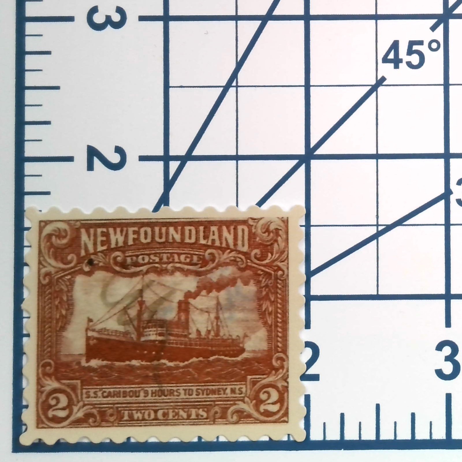 Vintage Newfoundland Postage Stamp Sticker S.S. Caribou Ship 2 Cent Vinyl Decal