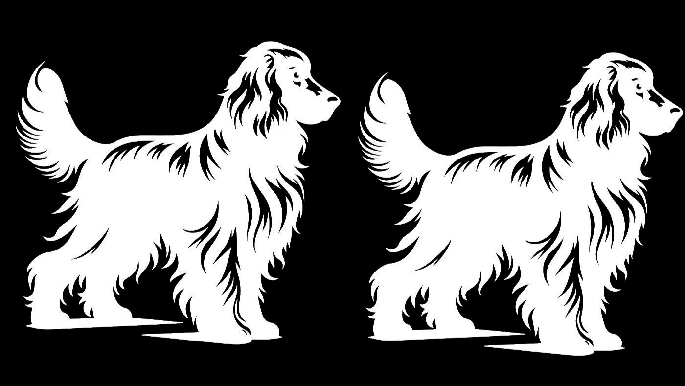 Spaniel Long Har Hair Dog Graphic Two PK 5" White Vinyl Decal Car Laptop Tablet