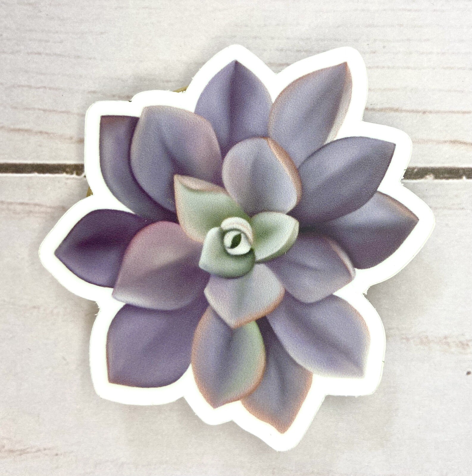 Hand-drawn Succulent Sticker – Lavender Succulent – 2.5” X 2.5”