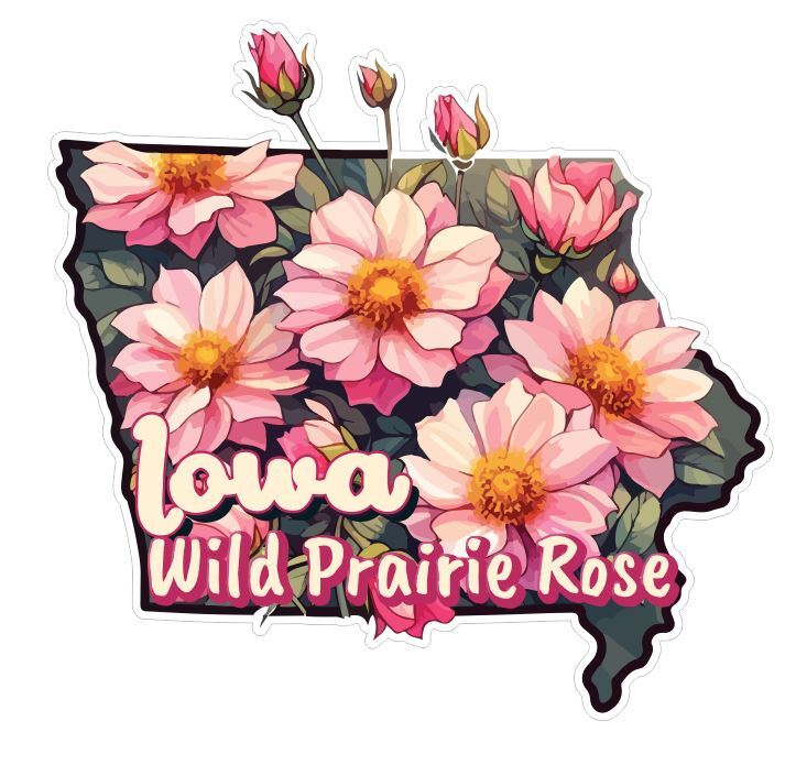 Iowa Sticker Stickers A292