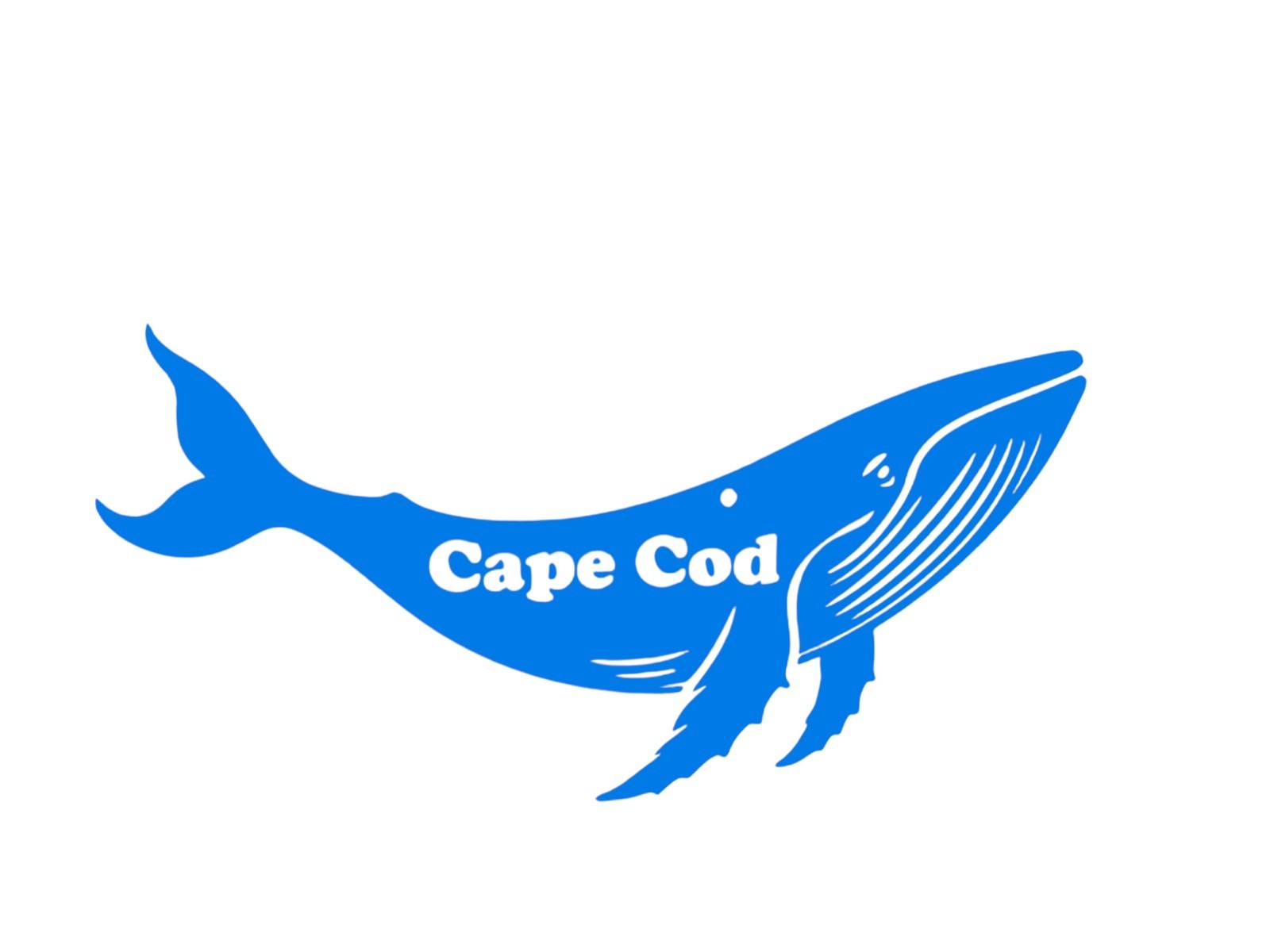Humpback Whale Cape Cod Decal for car Windows Laptops Smooth Surfaces