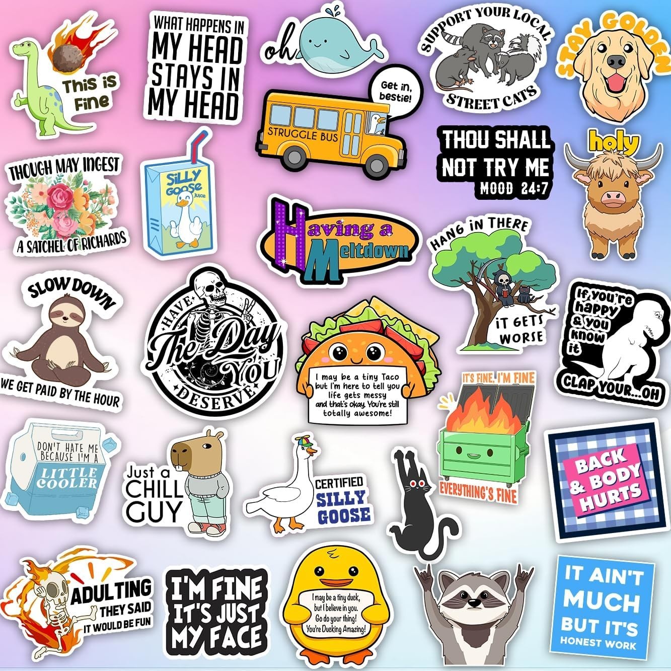 225PCS Funny Holographic Stickers Waterproof Vinyl Meme Decals Laptop Phone