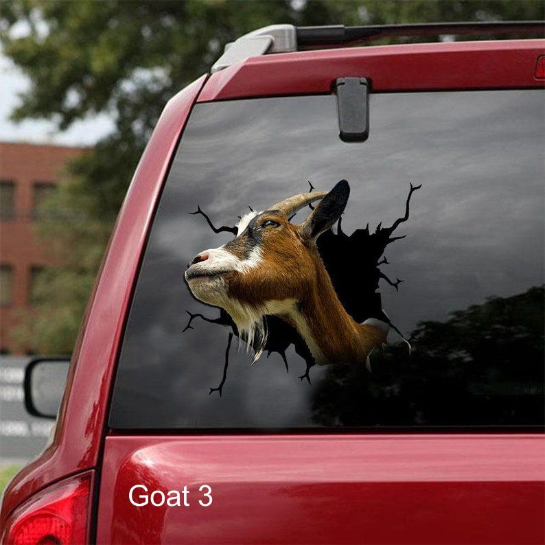 LARGE-SIZED CAR DECALS – GOAT – 3 CHOICES