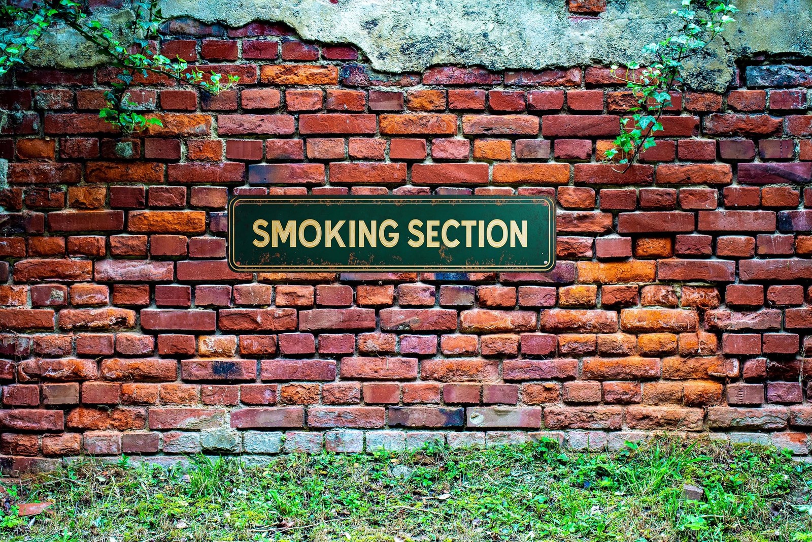 Vintage Tin Smoking Section Sign Retro Metal Sign for Outdoor indoor Decorati…