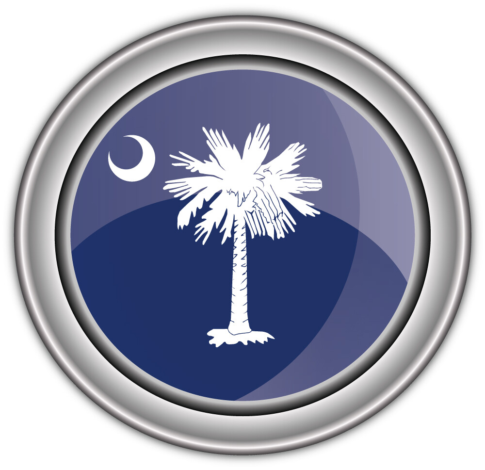 South Carolina USA State Flag Silver Badge Car Bumper Sticker Decal "SIZES"