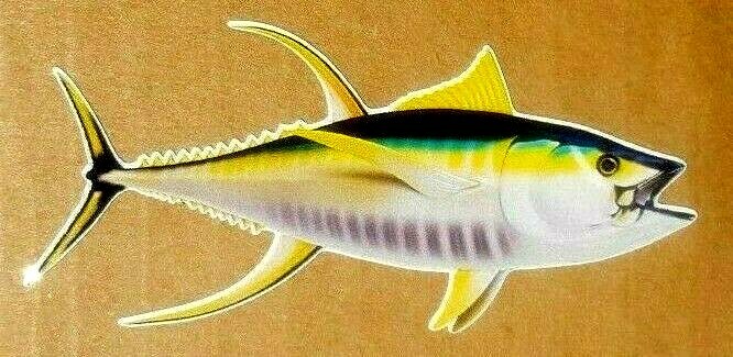 Yellowfin Tuna Decals Fish Stickers Set of 2 Vinyl Stickers #116