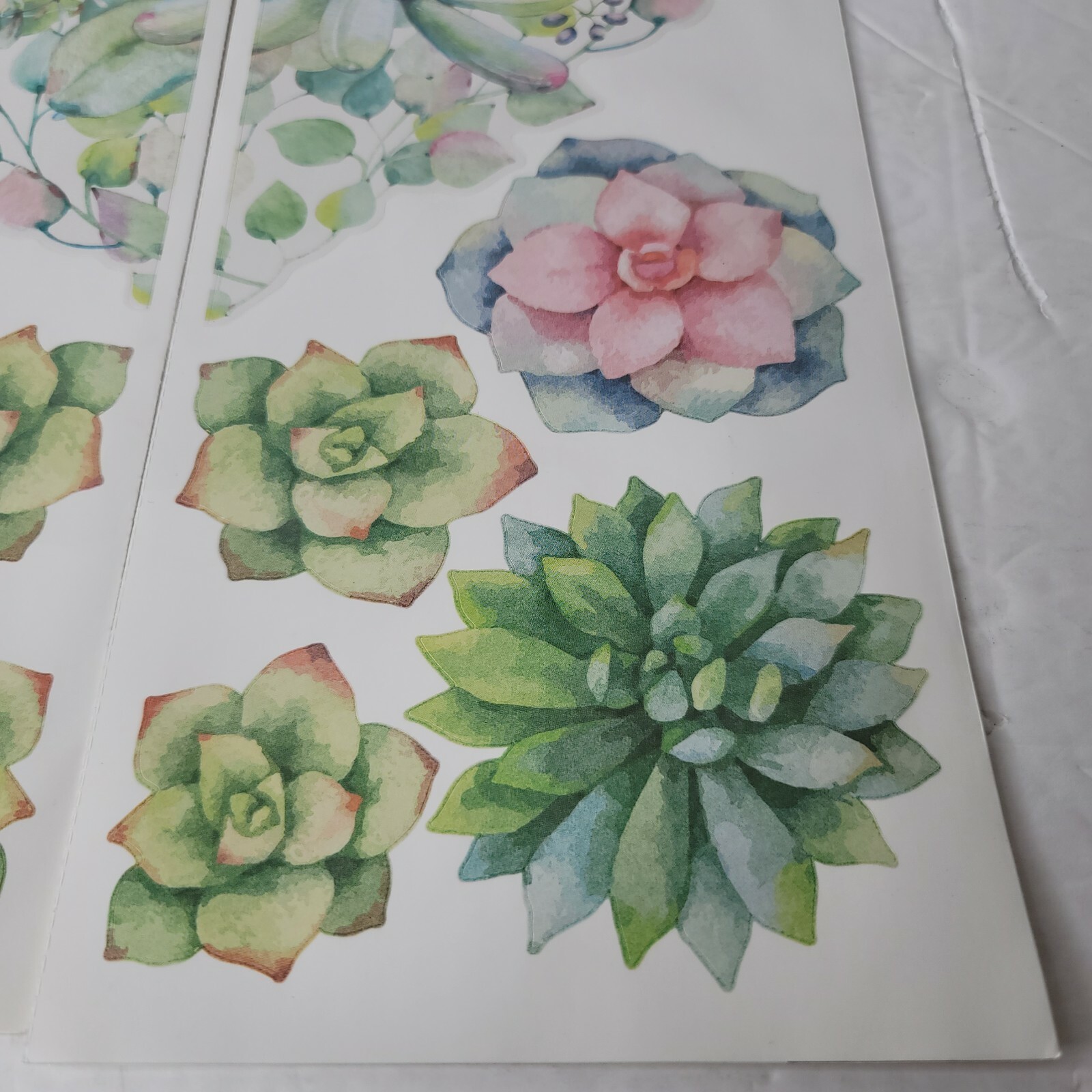2 PKG NEW Succulent Floral Cactus Plants Peel & Stick Wall Decals 290269