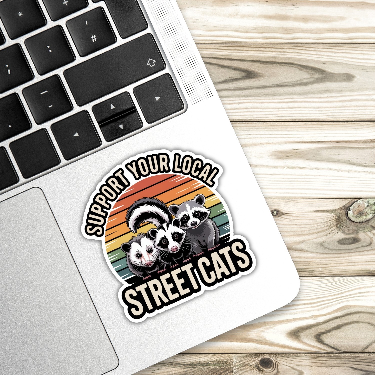 4pcs Street Cats Stickers – Funny Raccoon Opossum Decals for Laptop, Car