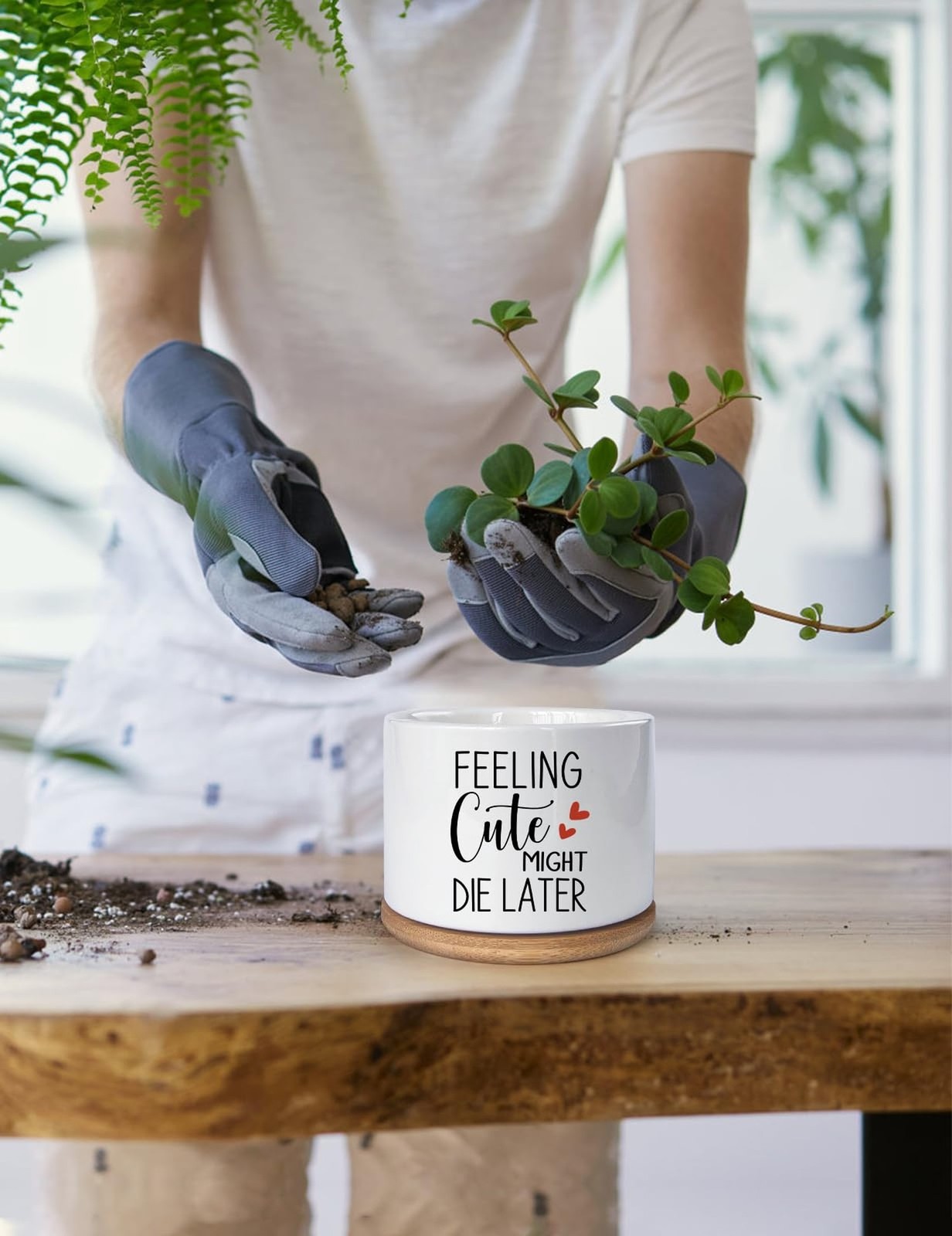 Funny Feeling Cute Might Die Later Ceramic Planter Pot for Succulent & Cactus…