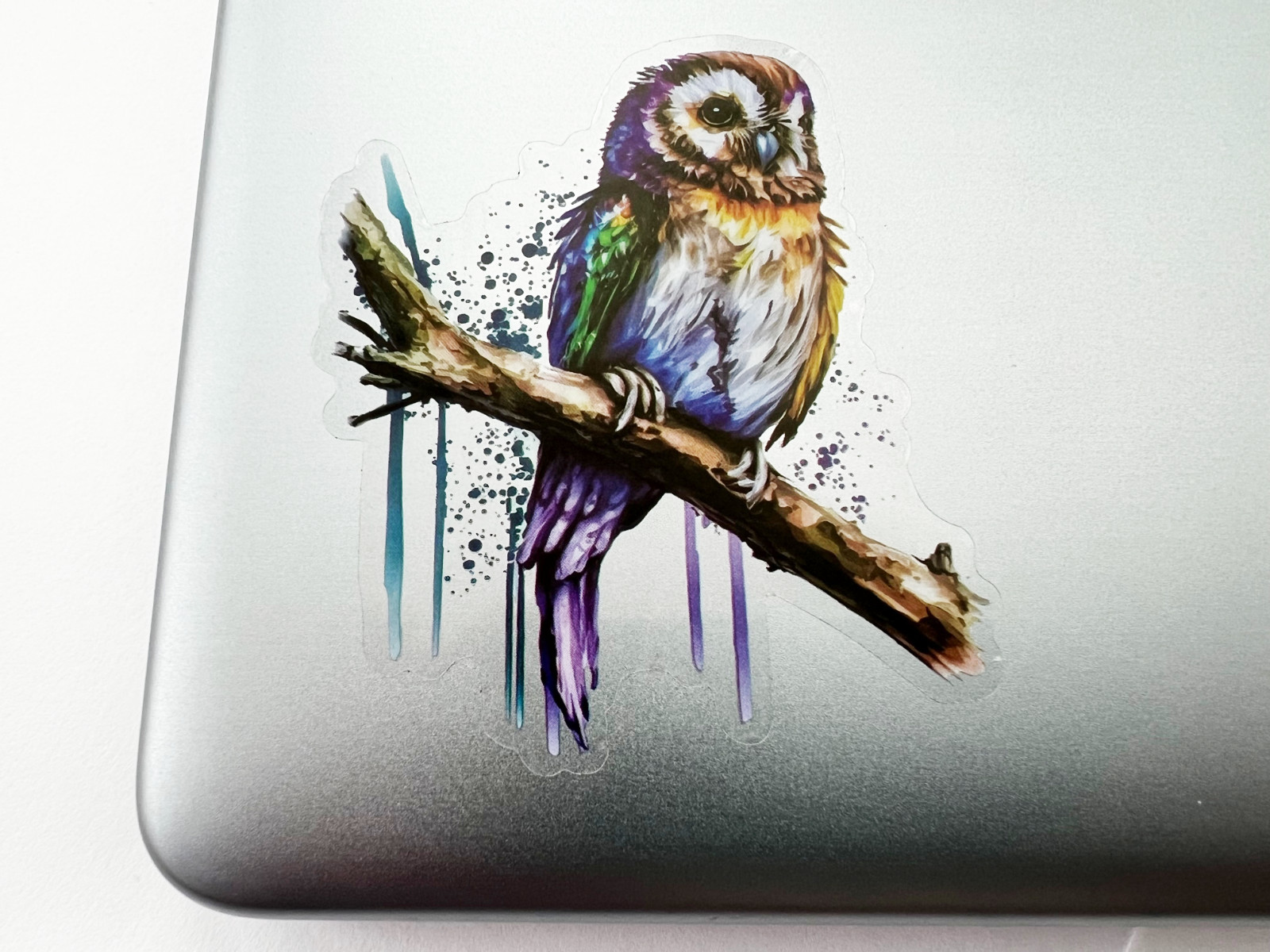 Colorful Owl 3 Inch Transparent Sticker Owl Eyes Feathers Decal