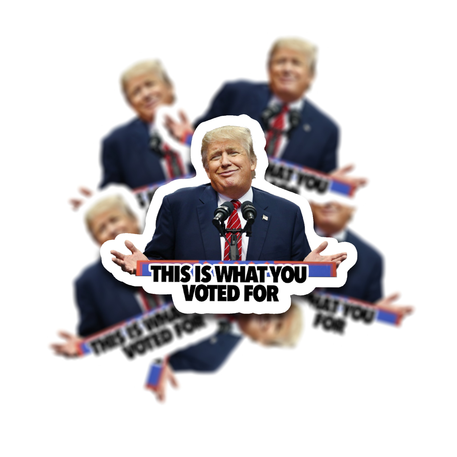 Trump Sticker -"This is What You Voted For" Anti-Trump Political Meme – 12 pack