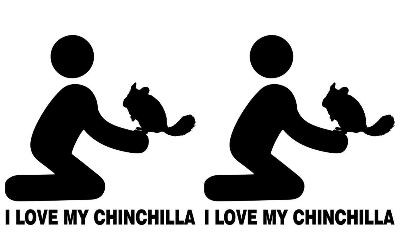 I Love My Chinchilla with person – Black Vinyl Decal – Car Truck Laptop window