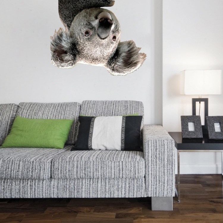Cute Koala Wall Decal Mural Australia Wild Animals Removable Bear Vinyl, a19