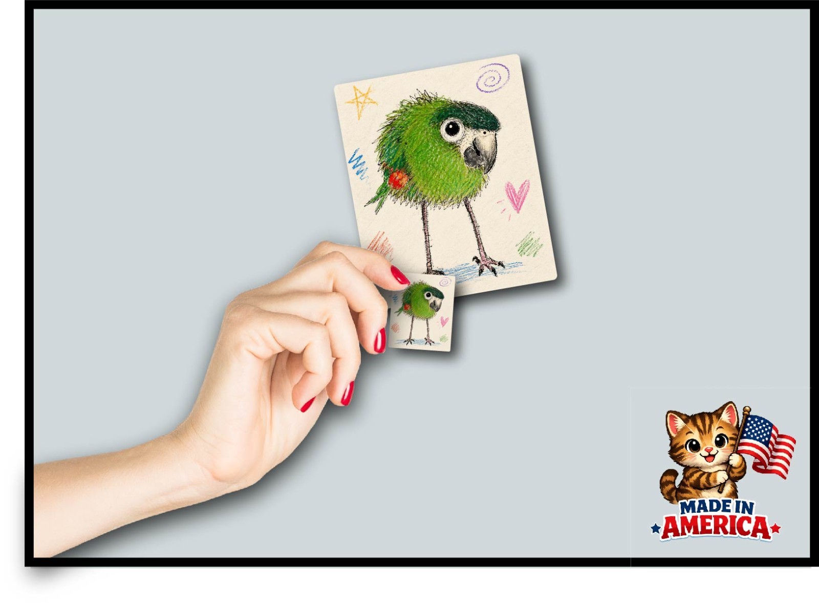 Funny Macaw Parrot Decal Sticker Hahns Greenwing Feathers Cute Bird Lady Gift