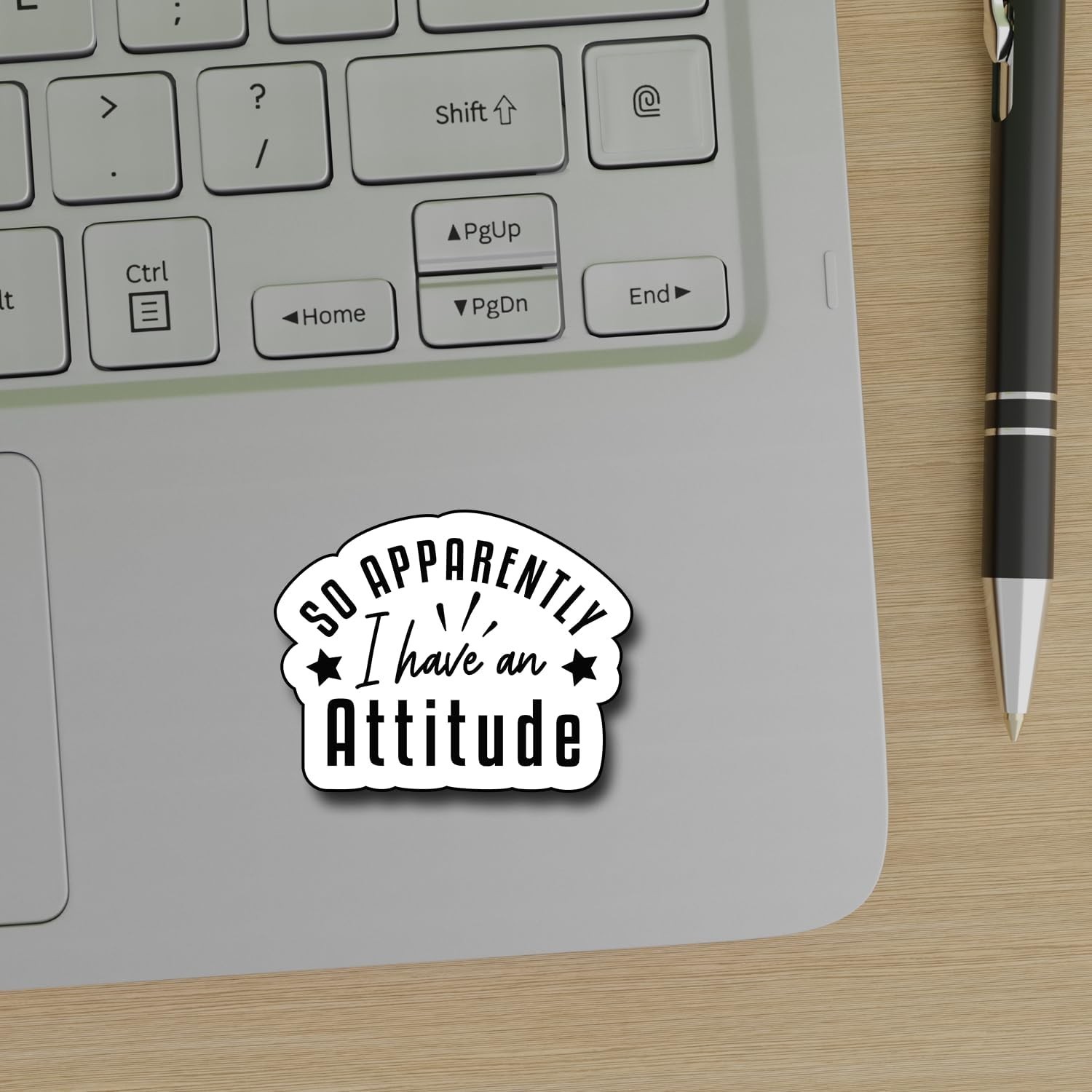 3Pcs So Apparently I Have an Attitude Sticker, Decorate Books Laptop Phone Wa…