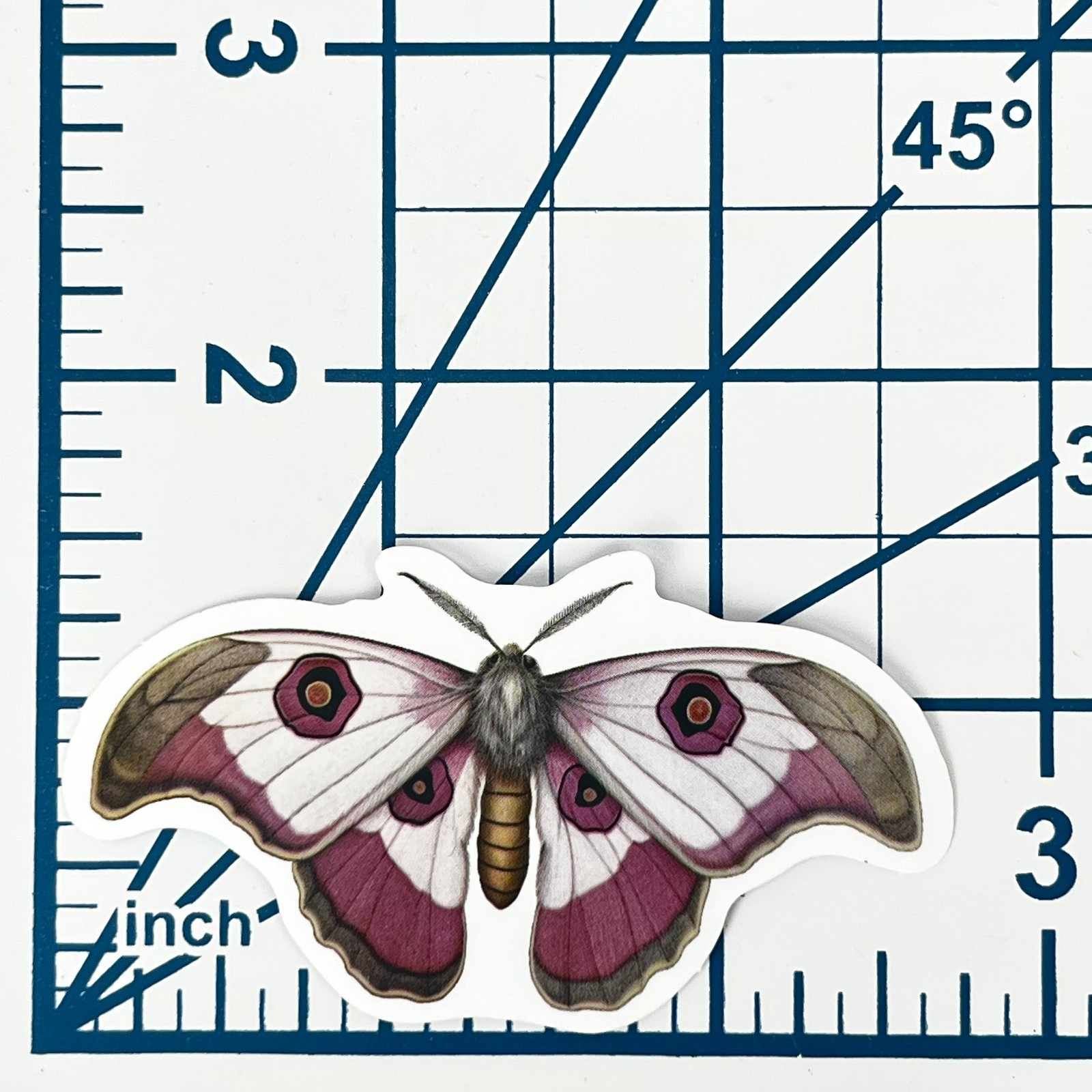 Rosy Emperor Silk Moth Vinyl Sticker Vintage Pink White Insect Journal Laptop