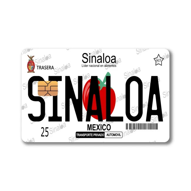 Mexican License Plate Sticker (4-Pack) | CHOOSE STATE | Mexico Placa Card Skin D