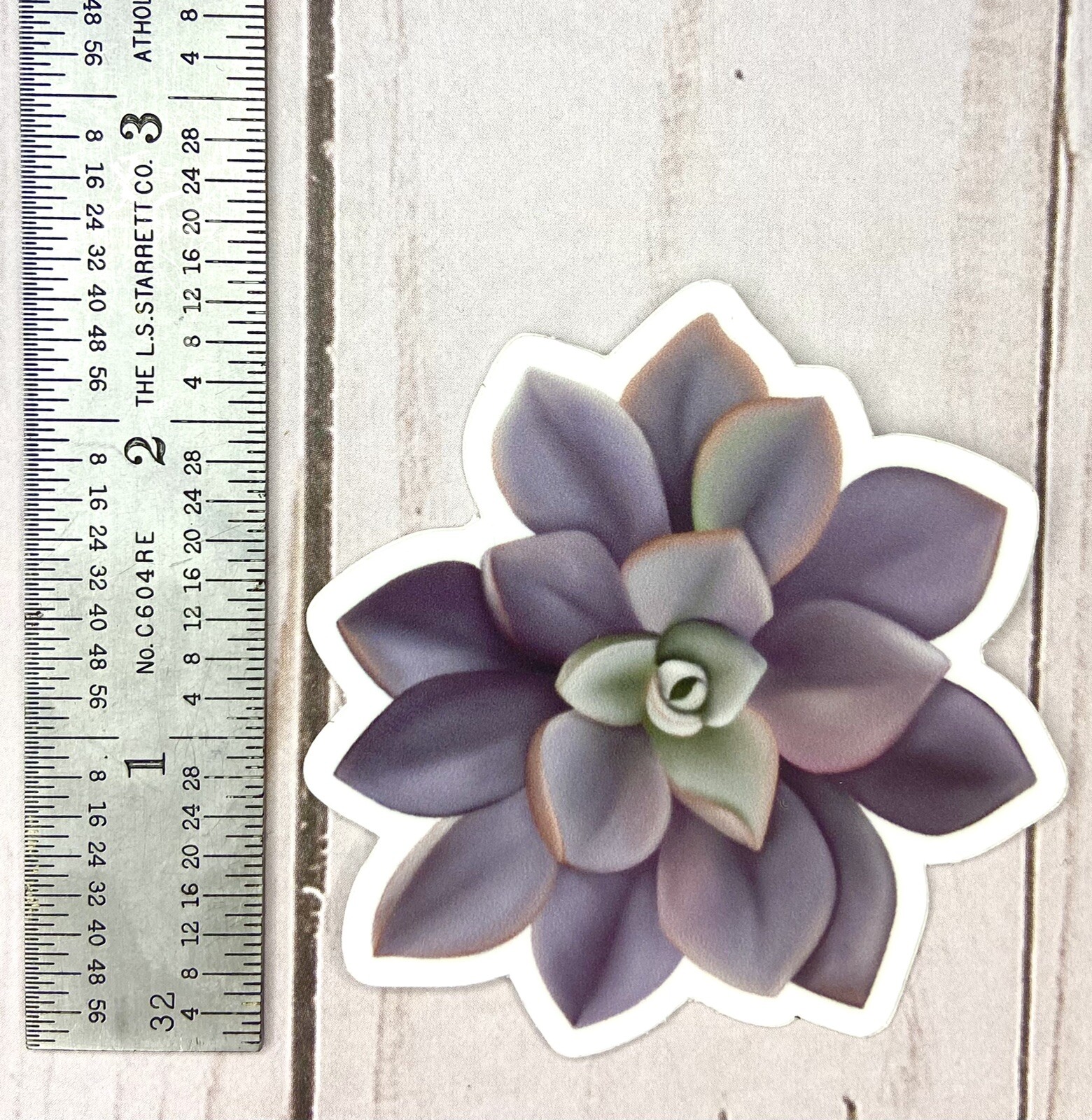 Hand-drawn Succulent Sticker – Lavender Succulent – 2.5” X 2.5”