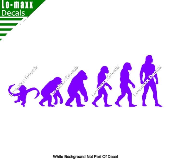 Evolution Of Barrel Of Monkeys Funny Ape To Man Vinyl Decal Sticker Art
