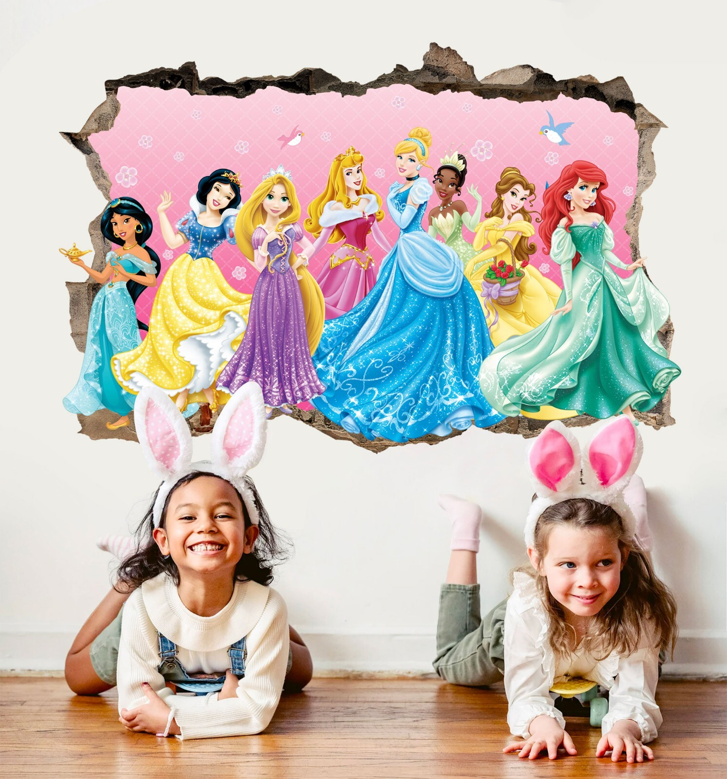 Princess Characters Smashed Wall Decal Sticker Mural Poster Girls Room Decor